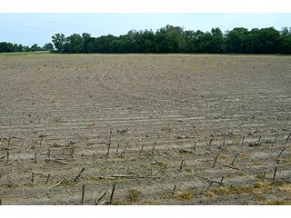 Property photo 26 - FARM & LAND AUCTION - 125+/- ACRES OFFERED IN 5 TRACTS IN EAST ALLEN COUNTY, INDIANA